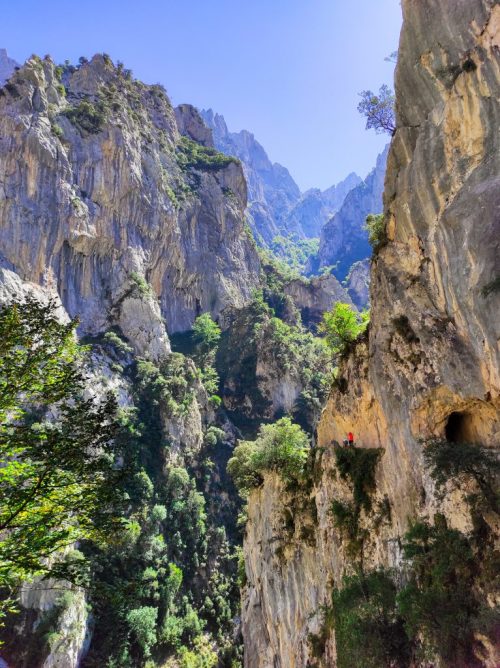 el desfiladero y la naturaleza en la ruta del cares