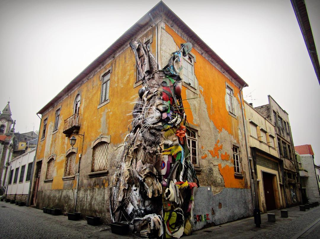 53672037_335575937164803_369676687094317056_o