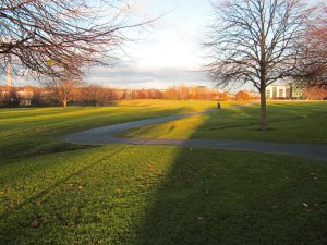 Phoenix park atardecer