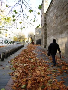 Otoño en Dublín