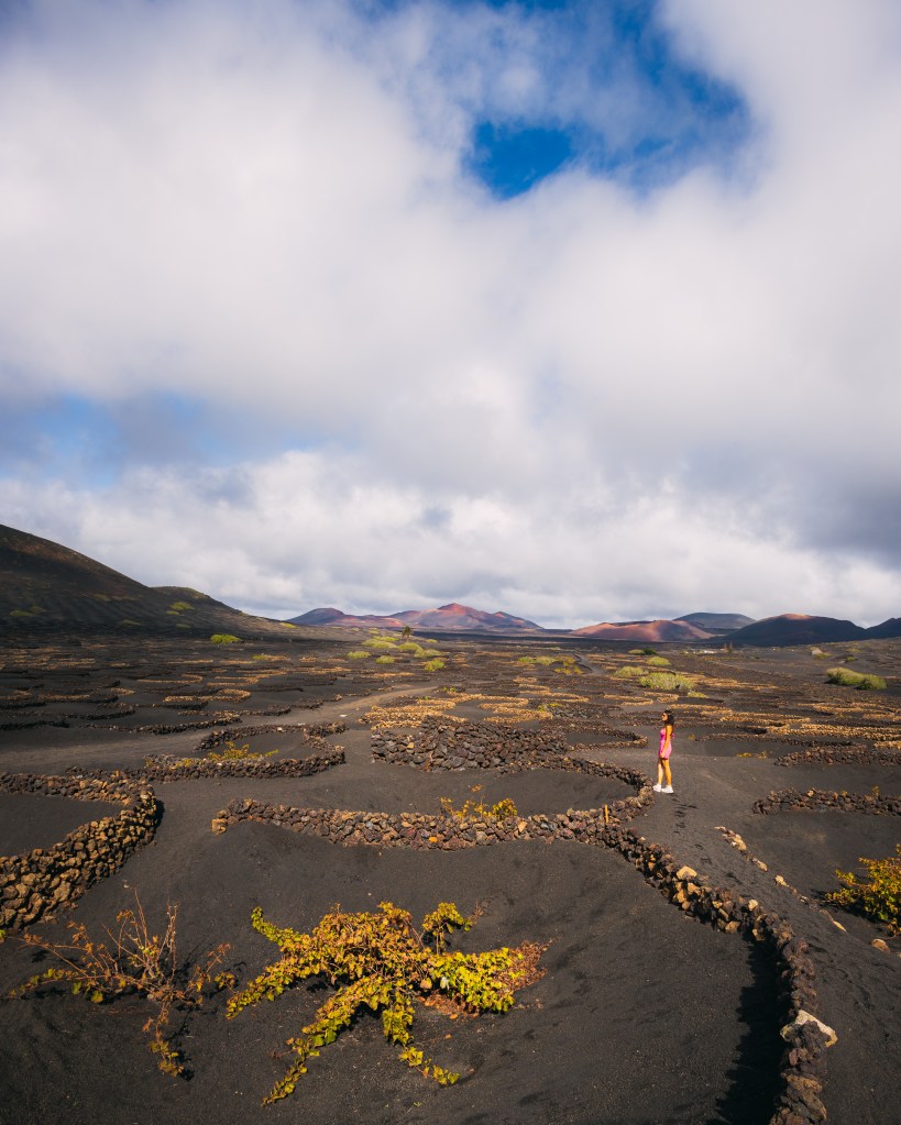 Paula pasea por los viñedos de La Geria