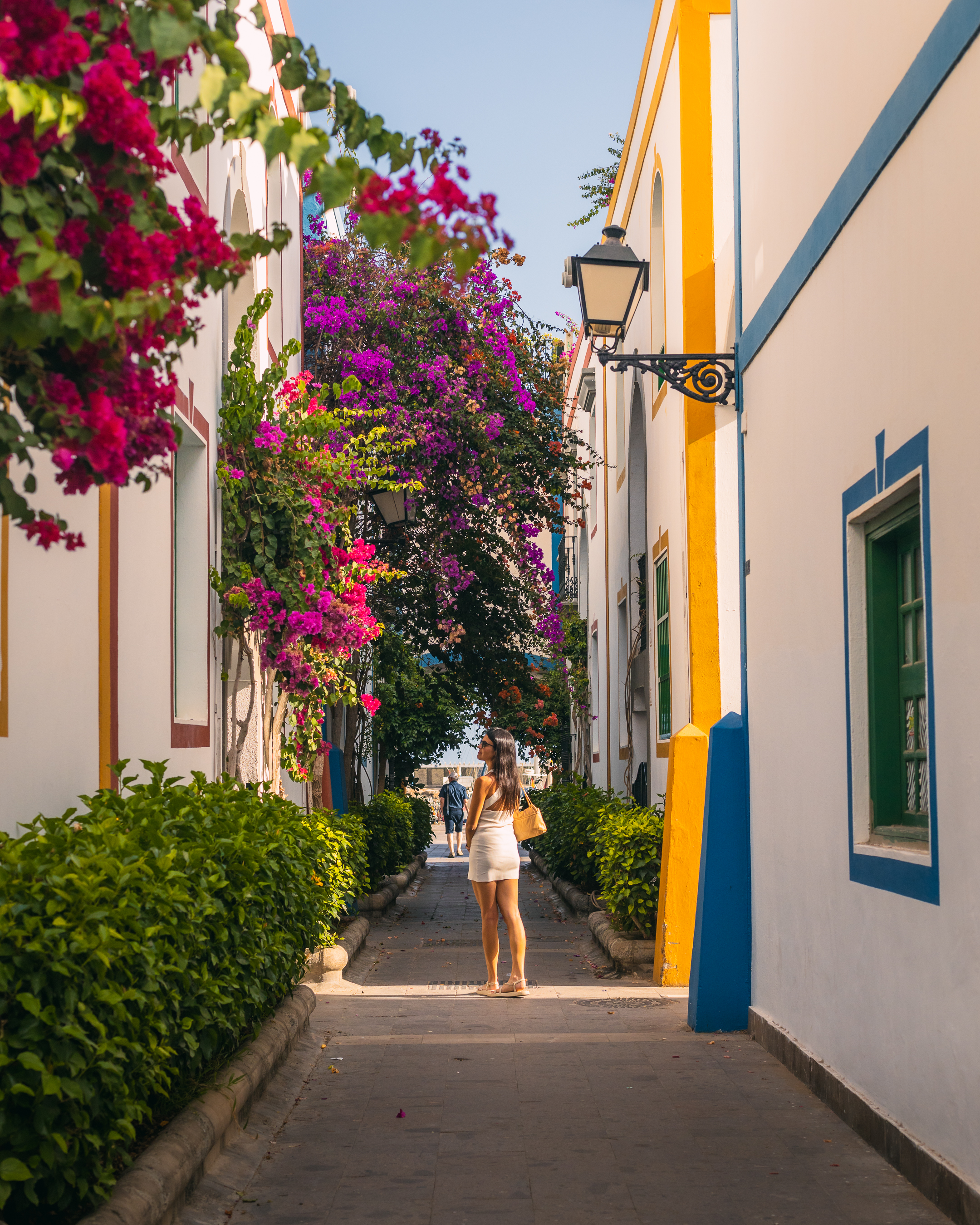 Flores en Puerto de Mogán, Gran Canaria