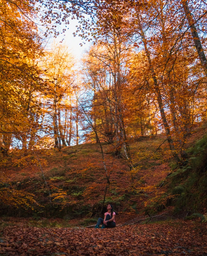 chica sentada sobre las hojas mirando los árboles de donde caen